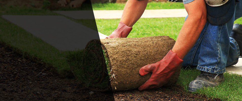 California Landscapers